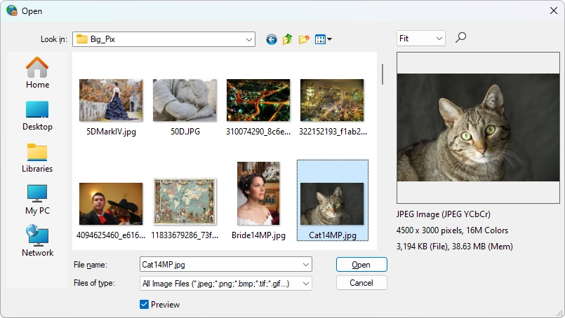 Improvements to OpenImageEnDialog, including better layout and larger preview options