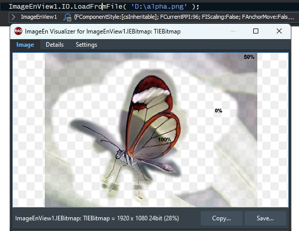 Debugging Visualizer