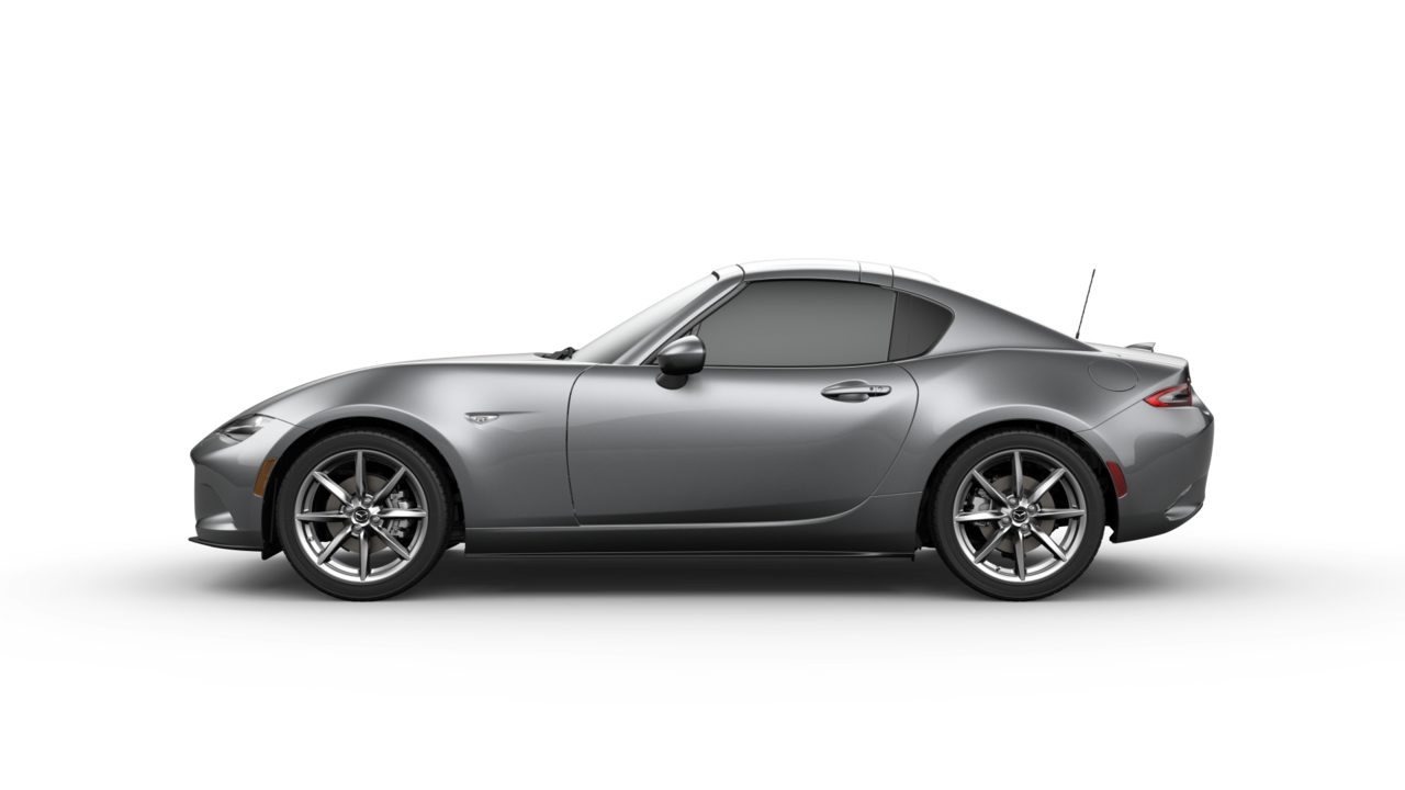 ImageEn Forum Existing Display List Replace Call To StretchDIBits